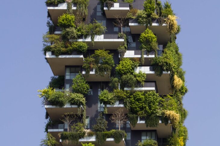 building covered in plants