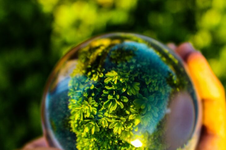 a person holding a glass ball in their hand