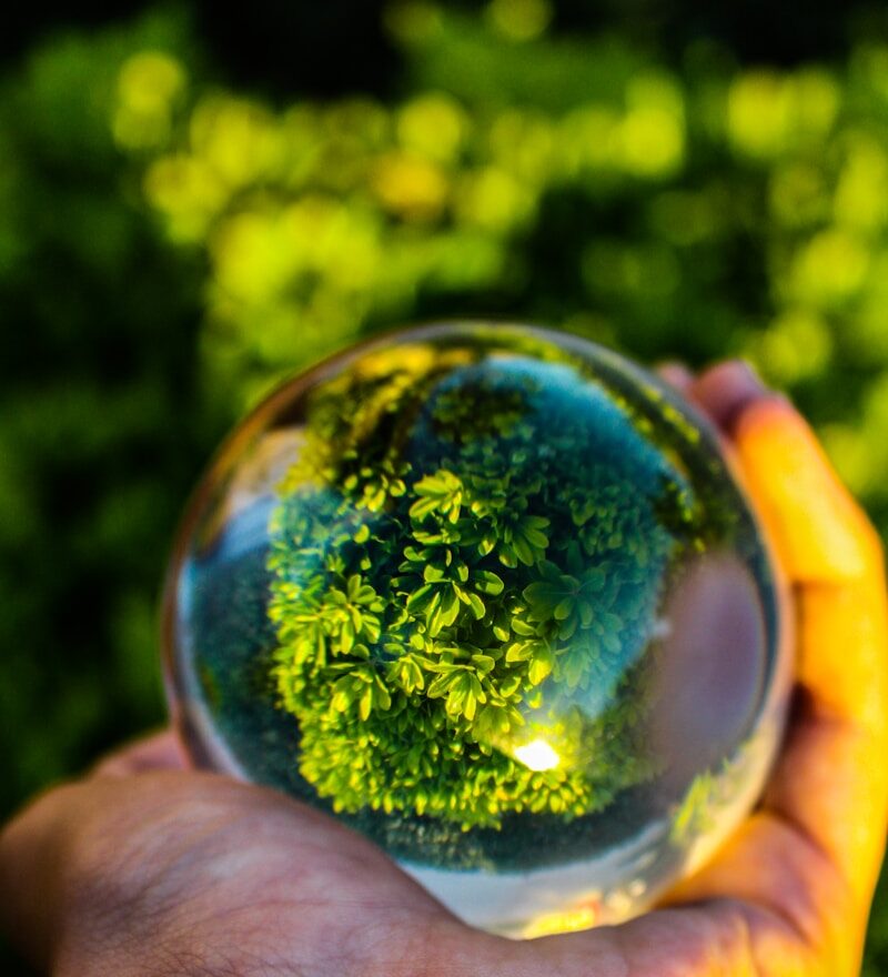 a person holding a glass ball in their hand